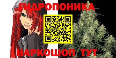 марки nbome Гусев