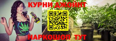 apvp Берёзовский