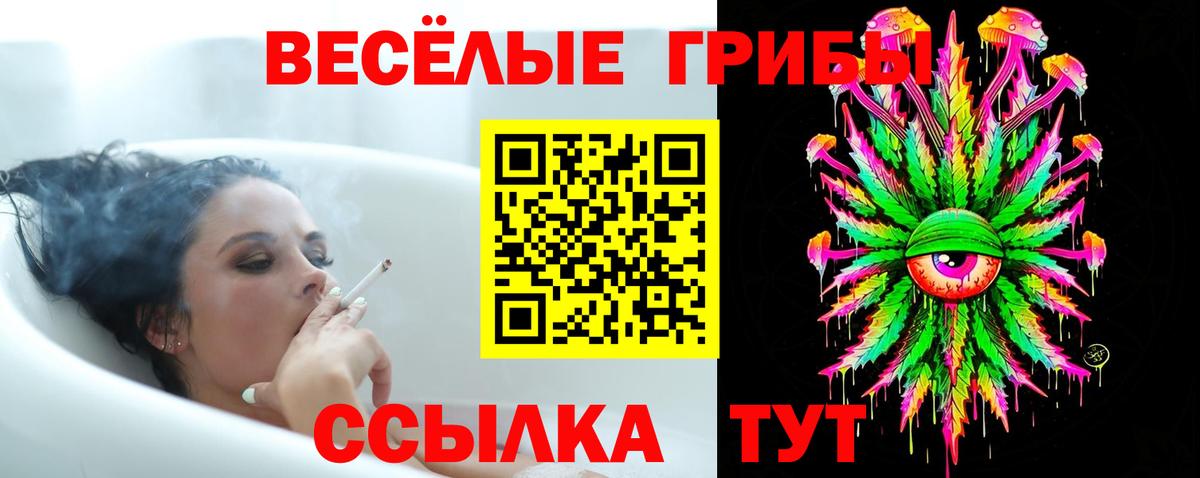 Псилоцибиновые грибы мухоморы  Псилоцибиновые грибы мухоморы  Кыштым 