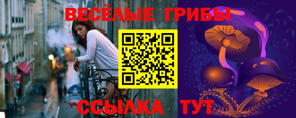 Кыштым  Галлюциногенные грибы Cubensis  Вход с VPN 