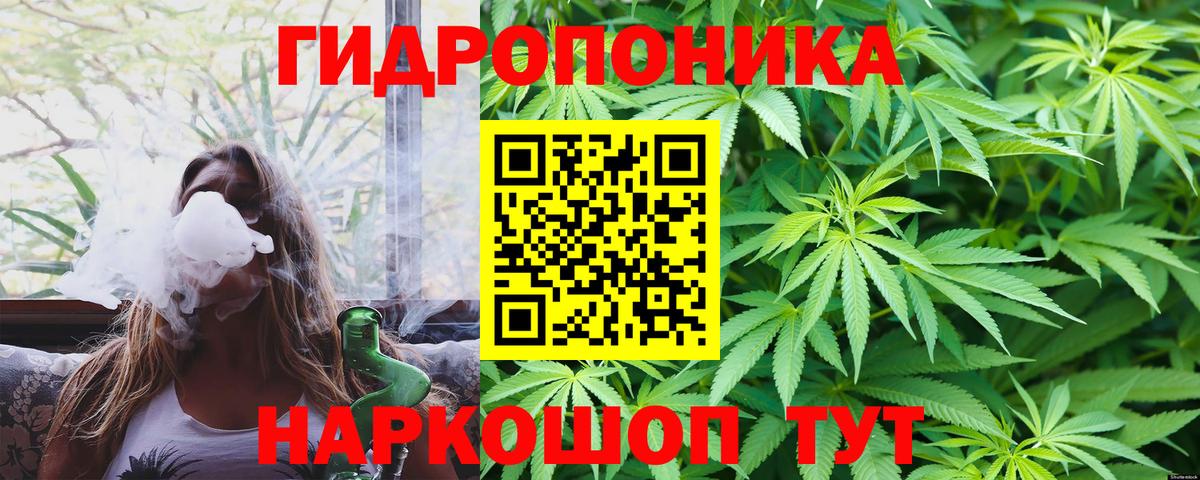Каннабис MAZAR Кыштым